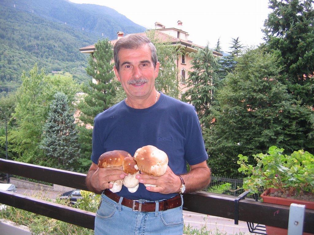 porcini_doc.jpg